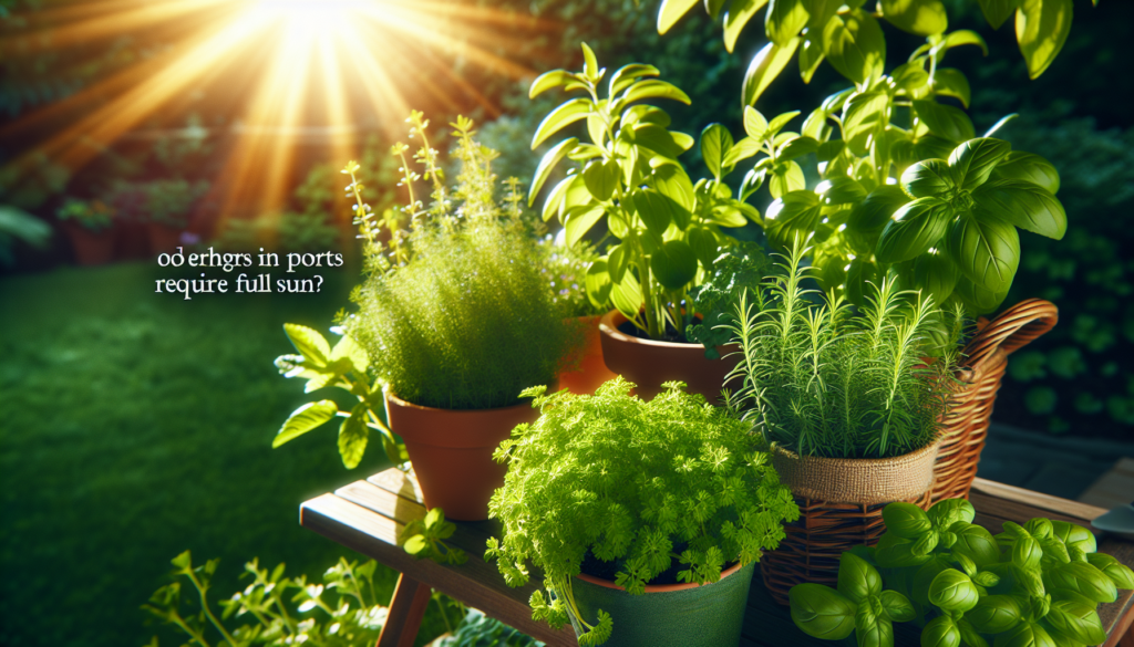 Do Herbs In Pots Need Full Sun?